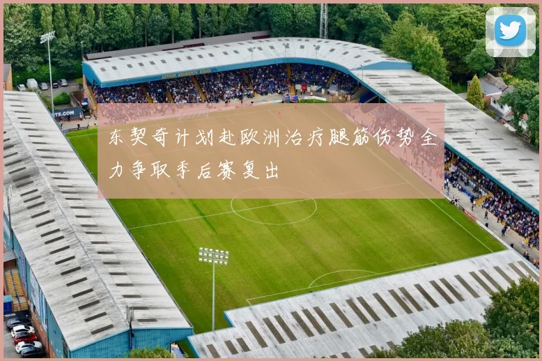 东契奇计划赴欧洲治疗腿筋伤势全力争取季后赛复出