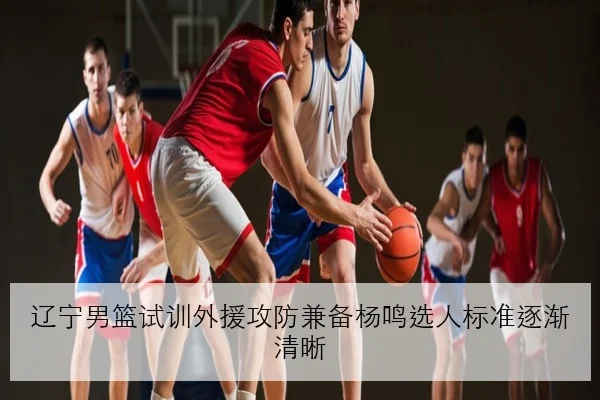 辽宁男篮试训外援攻防兼备杨鸣选人标准逐渐清晰